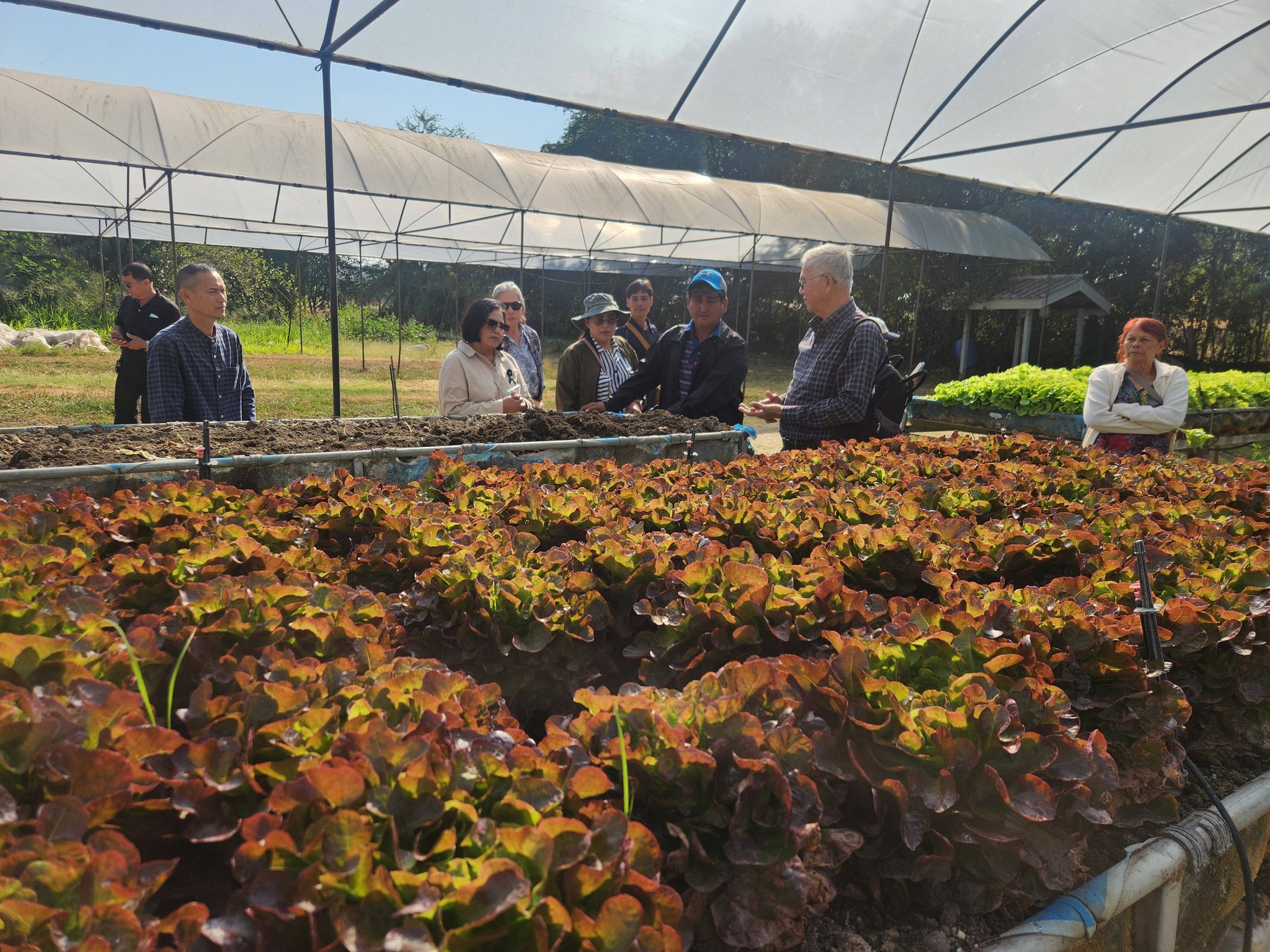 title - จัดฝึกอบรมโครงการที่ดินพระราชทานในเขตปฏิรูปที่ดินจังหวัดปทุมธานี ประจำปีงบประมาณ พ.ศ 2569 